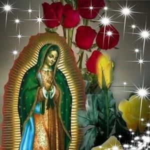 Meet your Posher, Edy